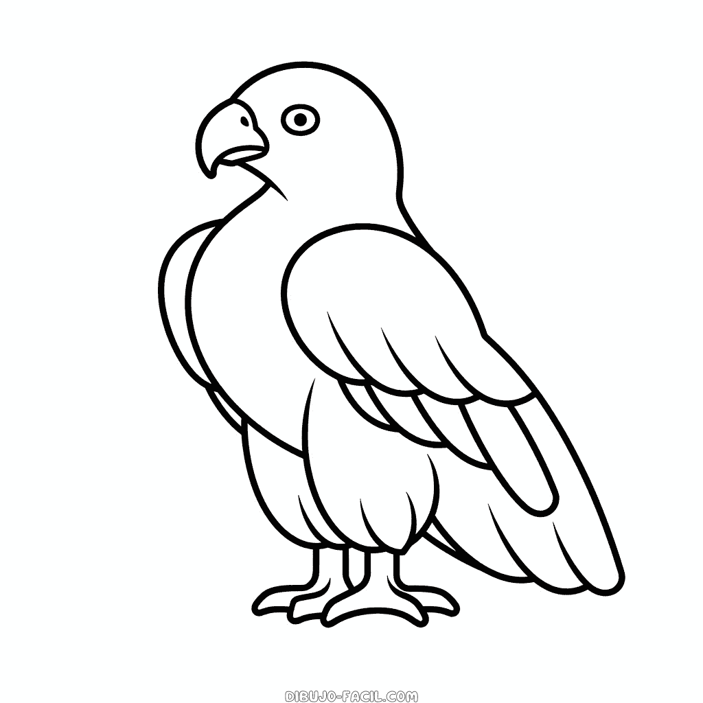 Dibujo fácil de águila