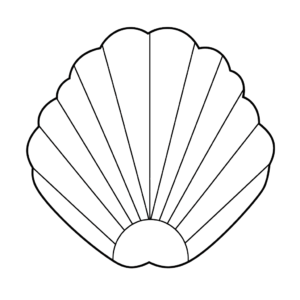 Dibujo fácil de almeja