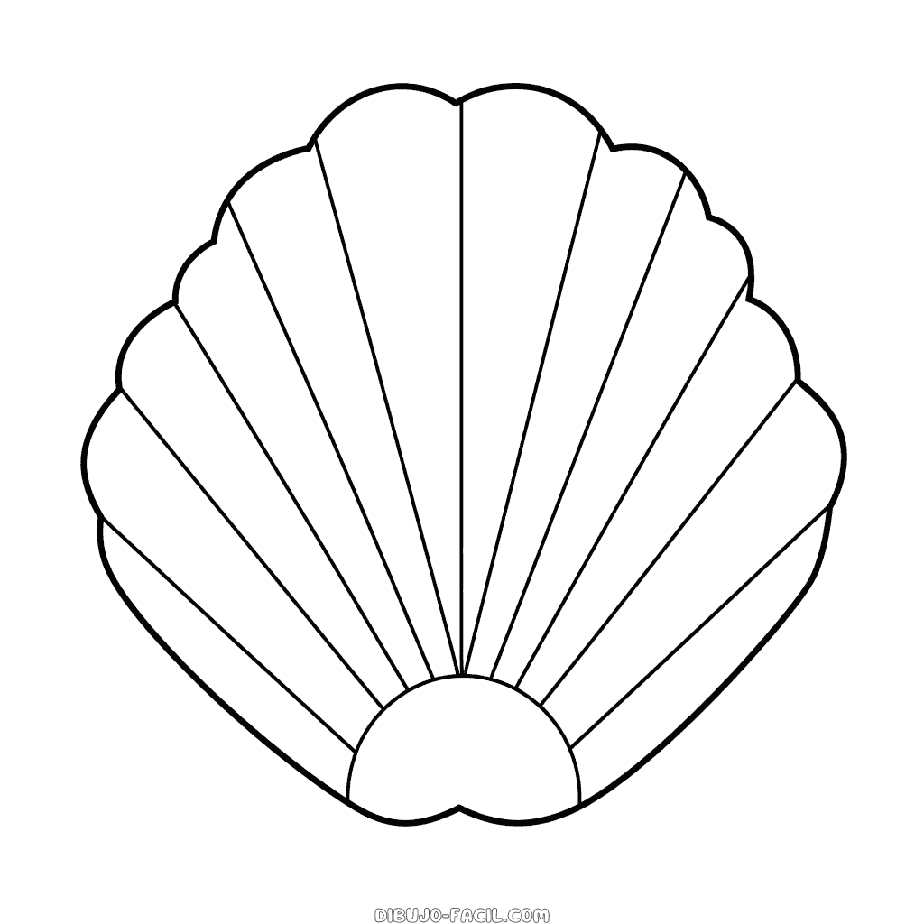 Dibujo fácil de almeja