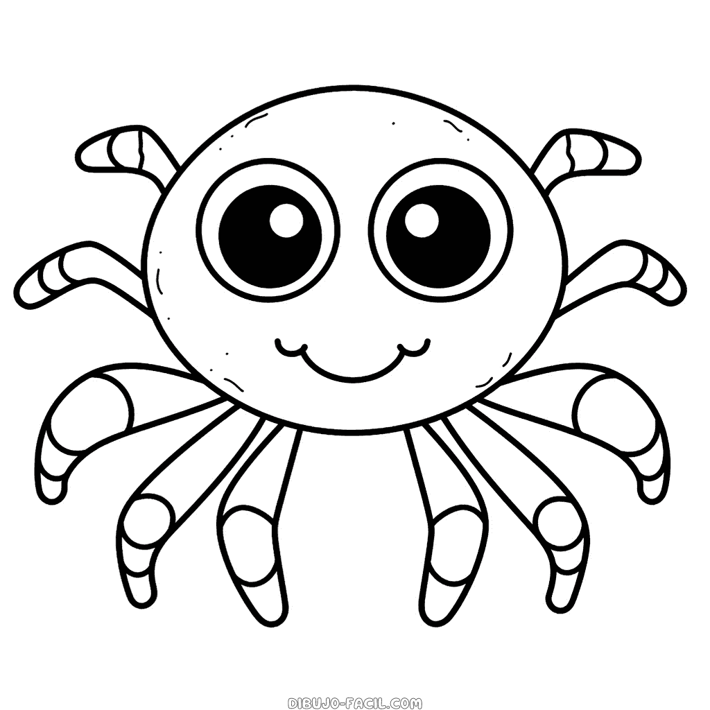 Dibujo fácil de araña