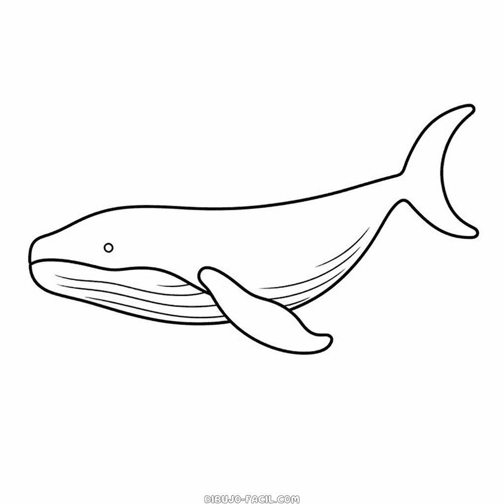 Dibujo fácil de ballena jorobada