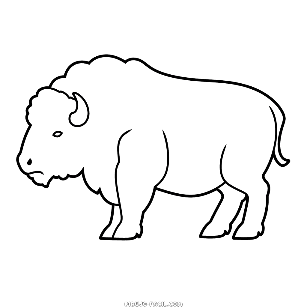 Dibujo fácil de bisonte