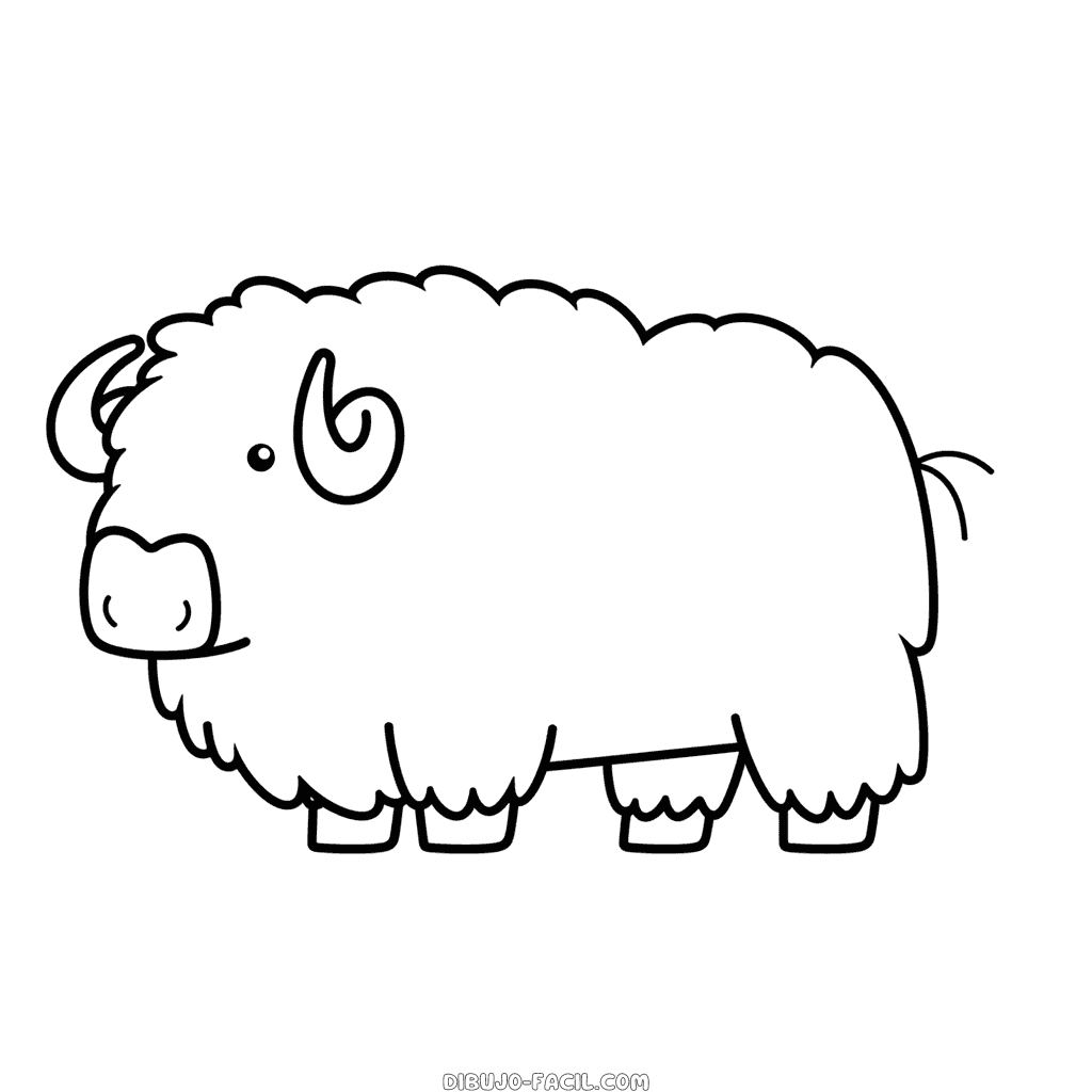 Dibujo fácil de buey almizclero