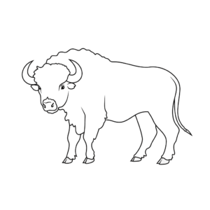 Dibujo fácil de búfalo