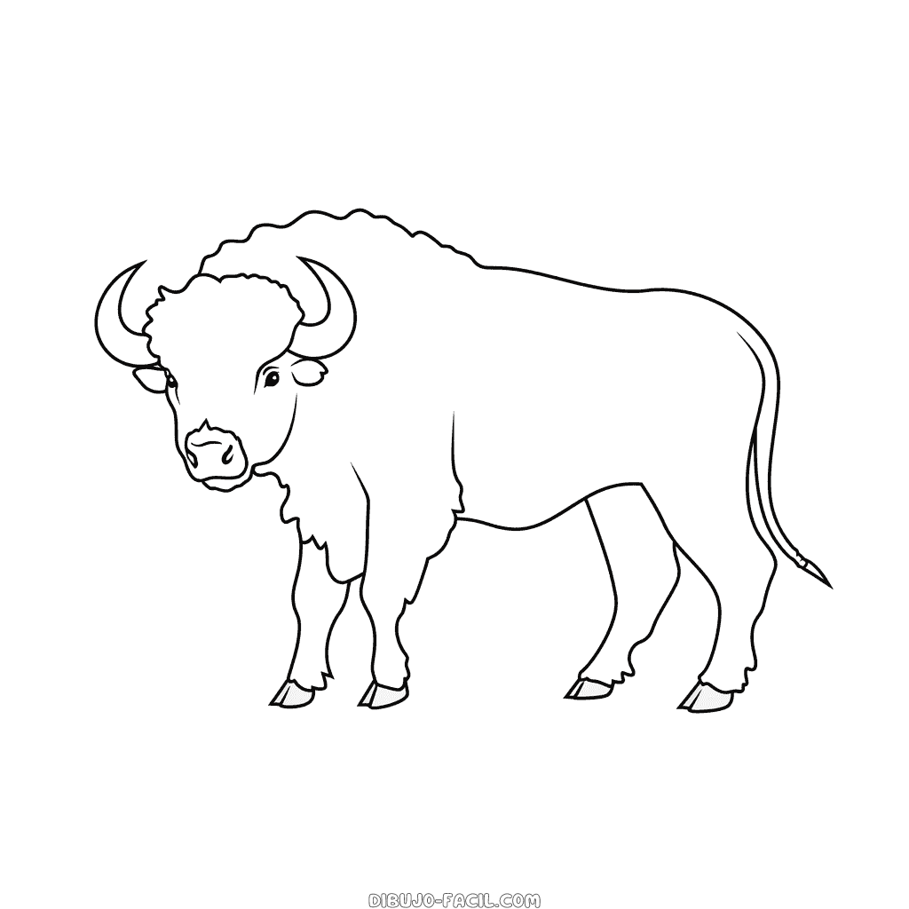 Dibujo fácil de búfalo