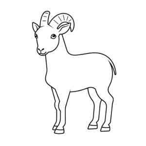 Dibujo fácil de cabra