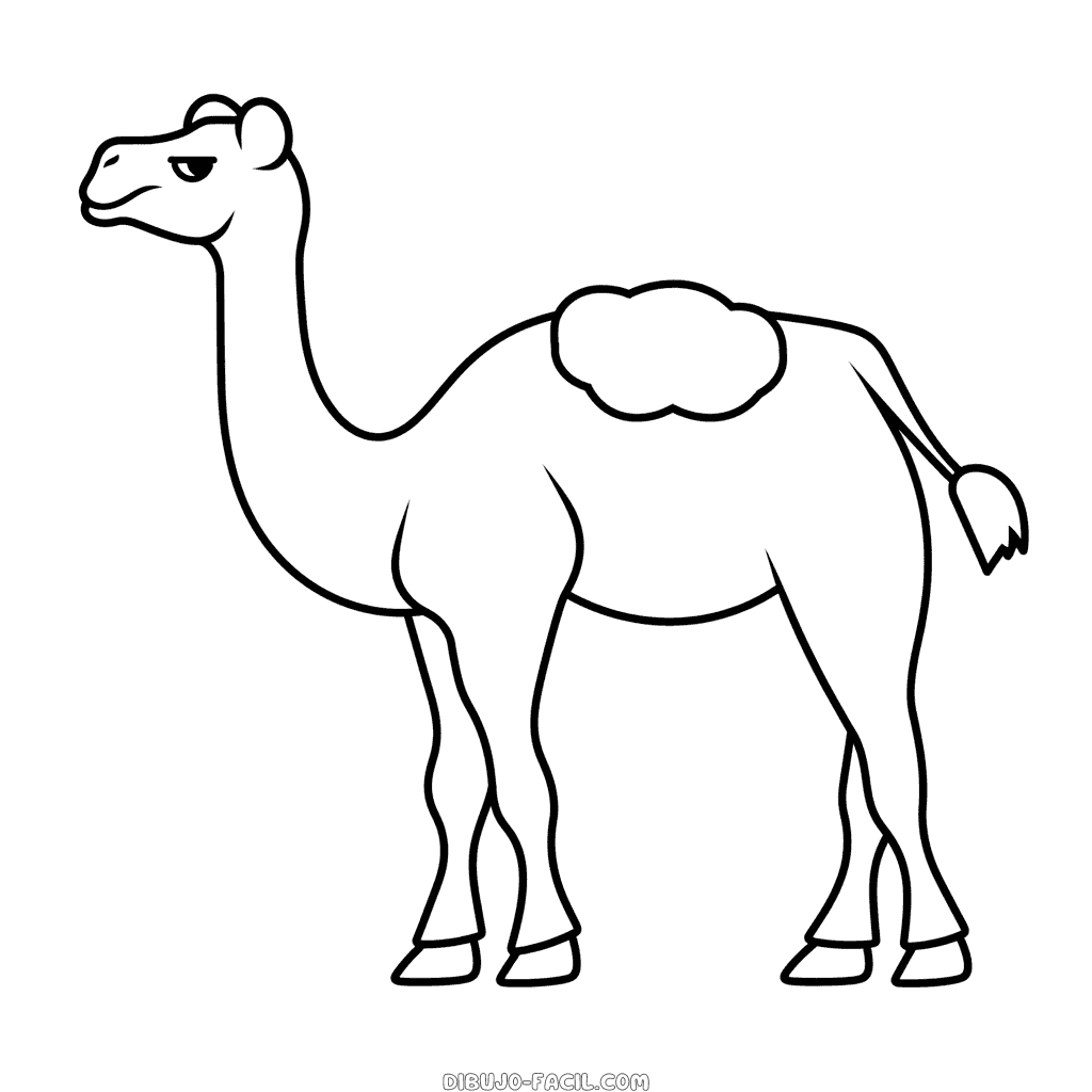 Dibujo fácil de camello