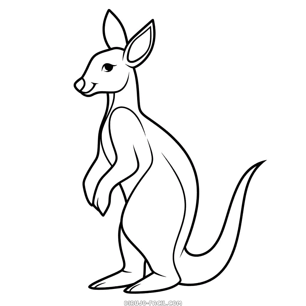Dibujo fácil de canguro