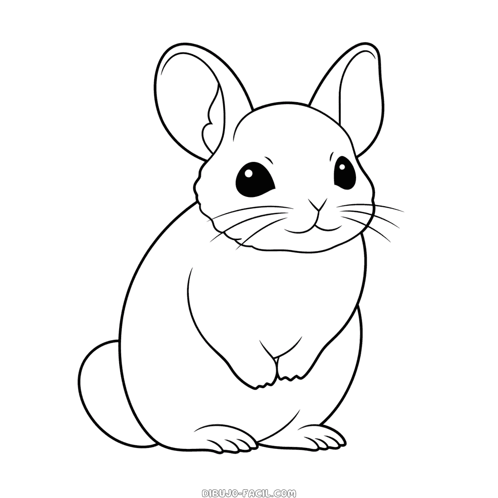 Dibujo fácil de chinchilla