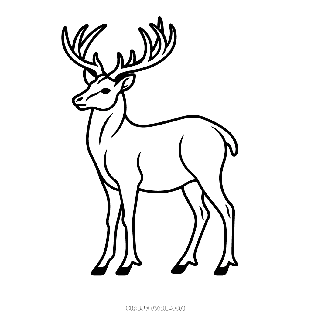 Dibujo fácil de ciervo rojo
