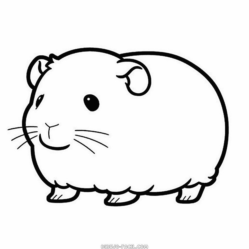 Dibujo fácil de conejillo de indias