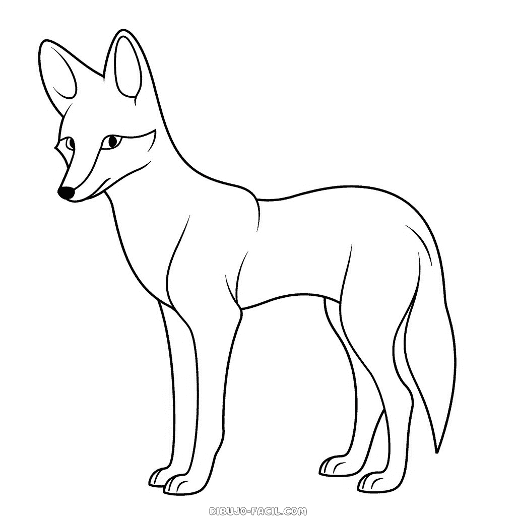 Dibujo fácil de coyote