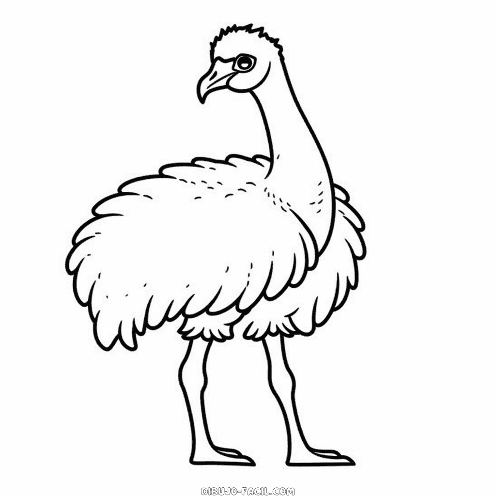Dibujo fácil de emú