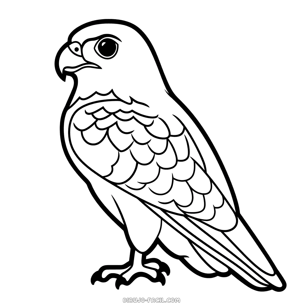Dibujo fácil de halcón