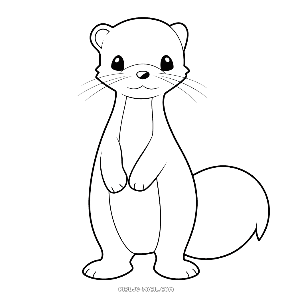 Dibujo fácil de hurón
