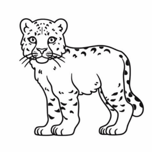 Dibujo fácil de leopardo de nieve