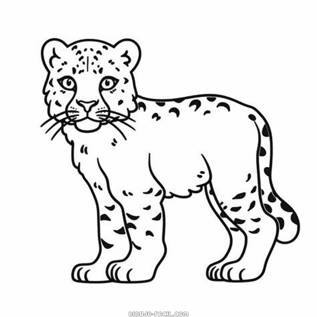 Dibujo fácil de leopardo de nieve