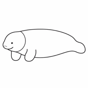 Dibujo fácil de manatí