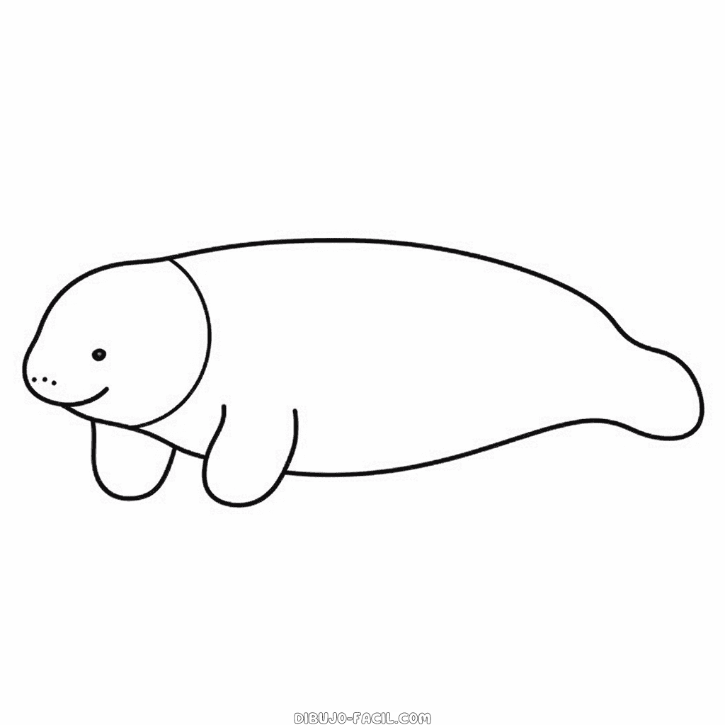 Dibujo fácil de manatí
