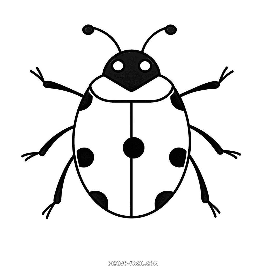 Dibujo fácil de mariquita