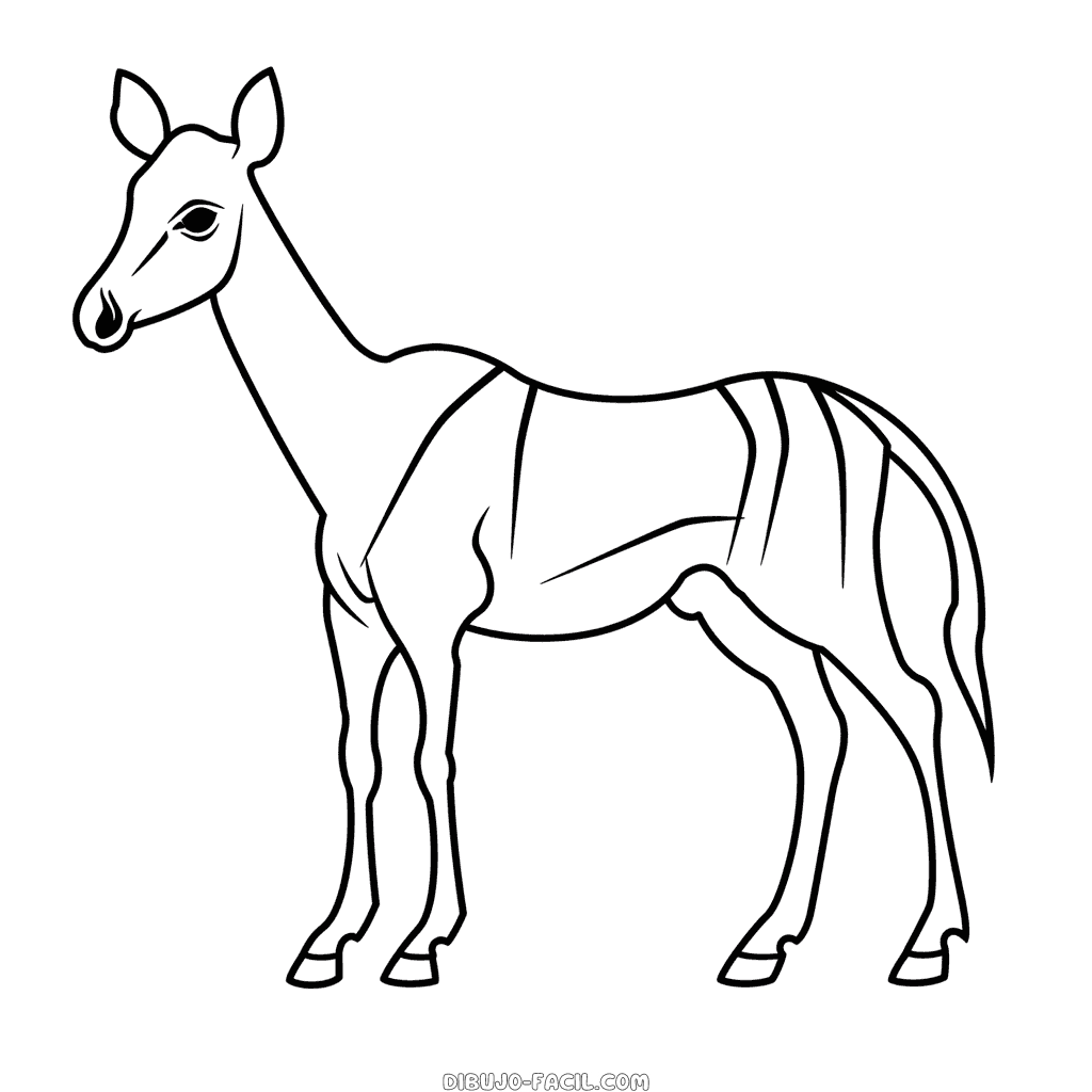 Dibujo fácil de okapi