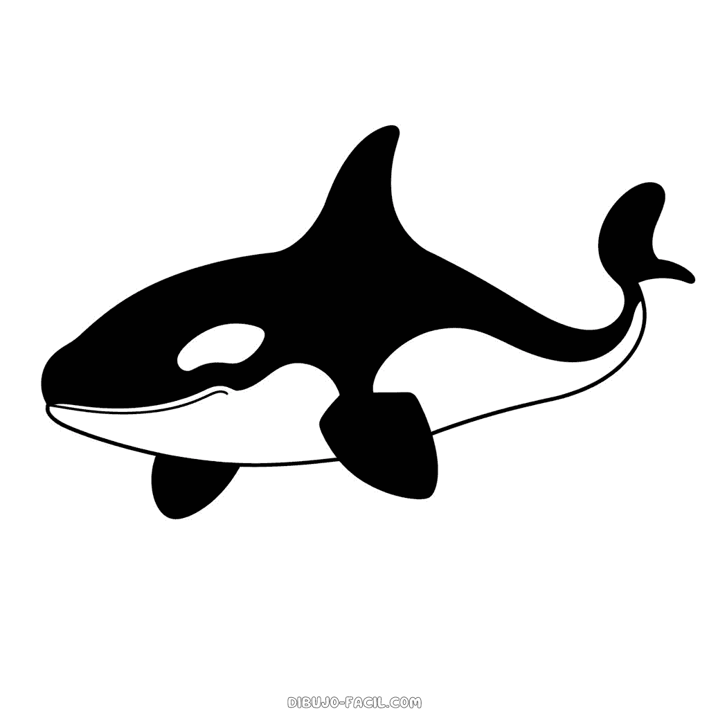 Dibujo fácil de orca