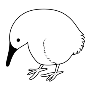 Dibujo fácil de pájaro del kiwi