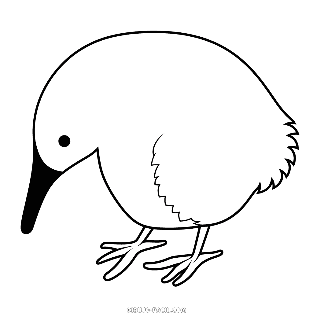 Dibujo fácil de pájaro del kiwi