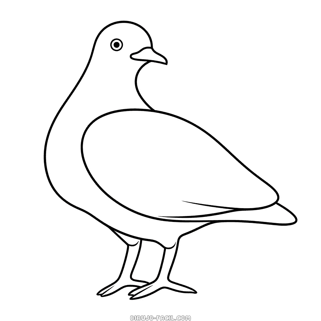 Dibujo fácil de paloma