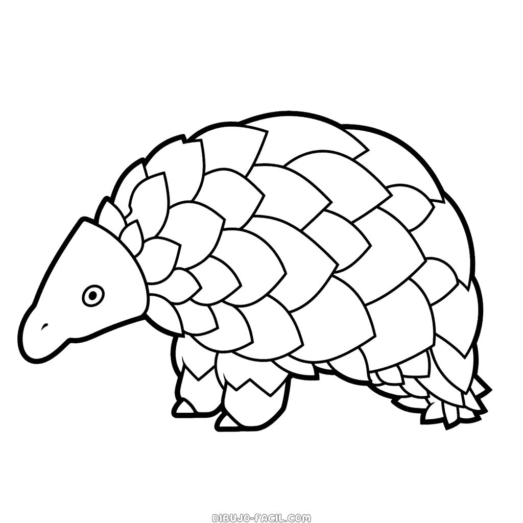 Dibujo fácil de pangolín