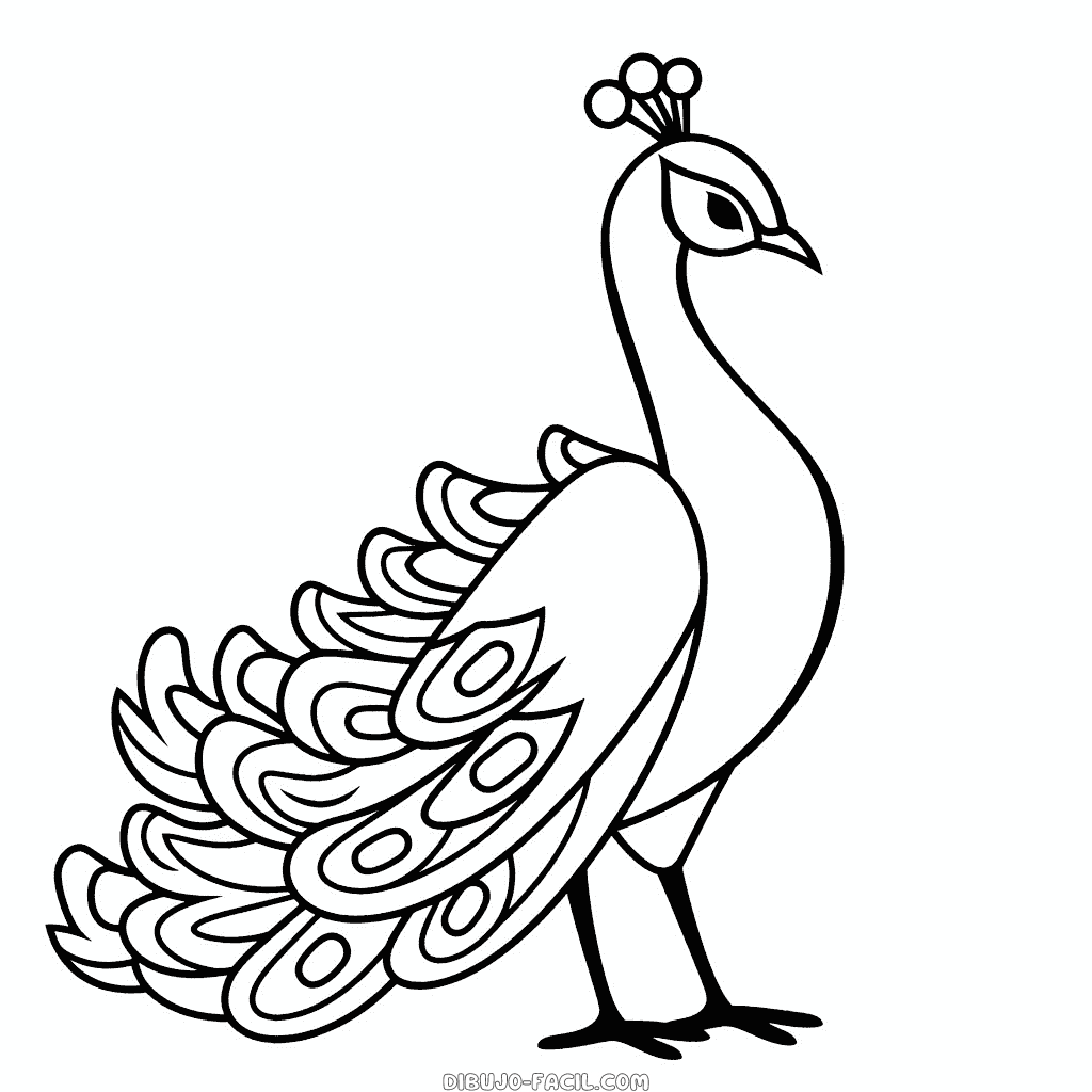 Dibujo fácil de pavo real