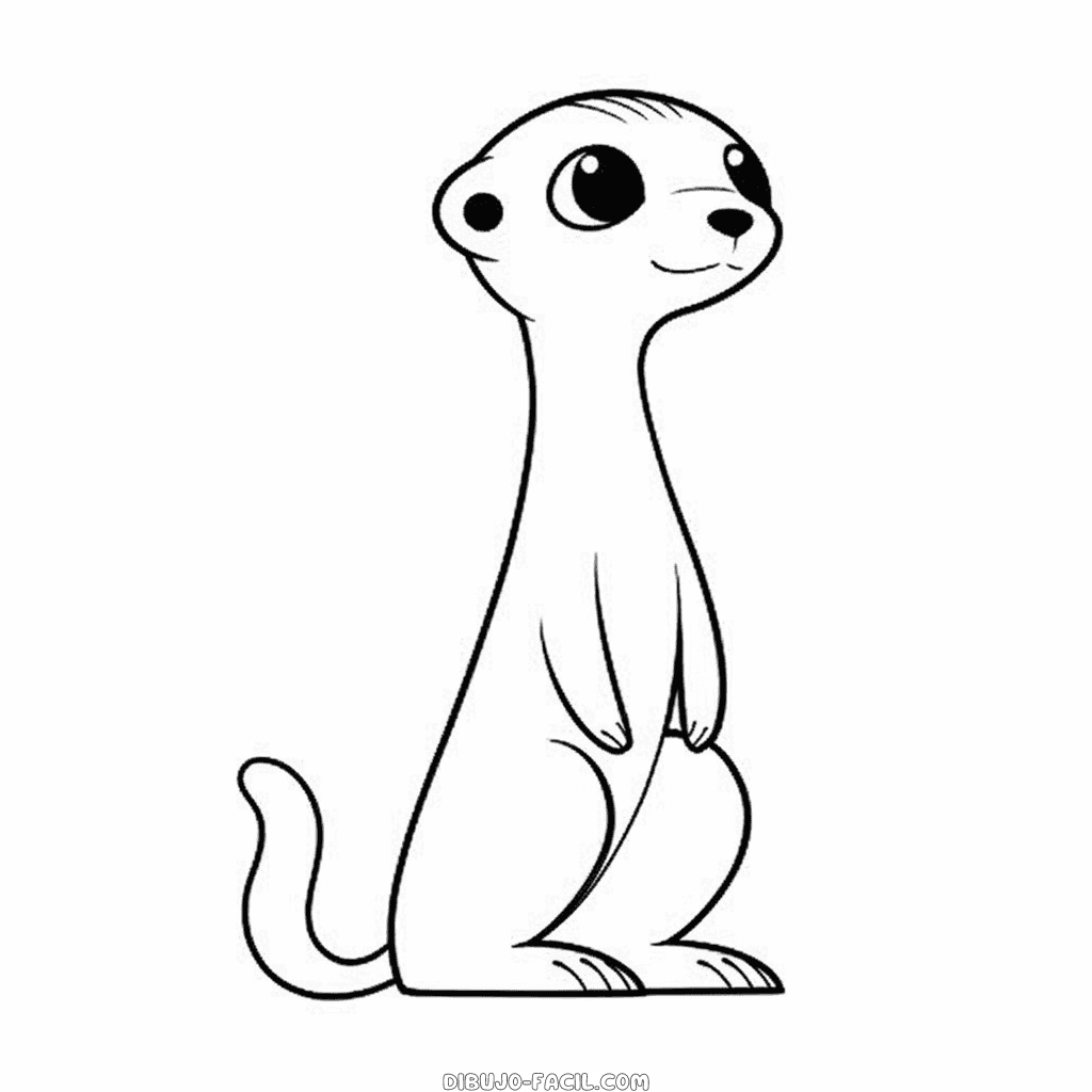 Dibujo fácil de suricata