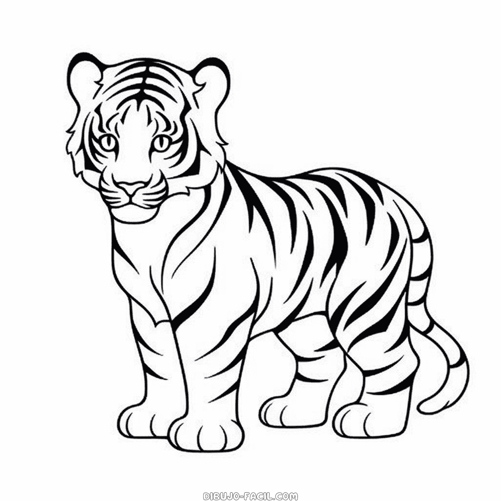 Dibujo fácil de tigre