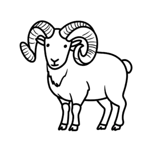 Dibujo Fácil de Borrego Cimarrón