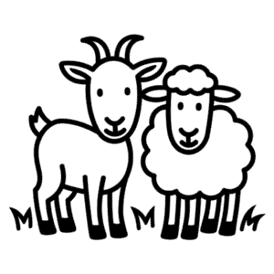 Dibujo Fácil de Cabra y Oveja