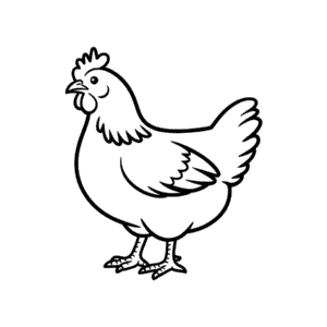 Dibujo Fácil de Gallina Sussex