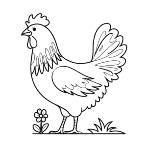 Dibujo Fácil de Hermosa Gallina