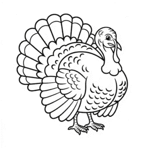 Dibujo Fácil de Pavo realista