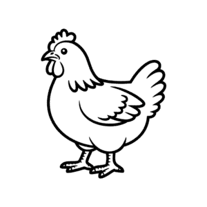 Dibujo Fácil de Gallina Plymouth Rock