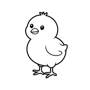 Dibujo Fácil de Imagen de Pollito