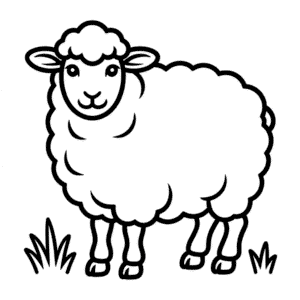 Dibujo Fácil de Oveja de Dorset