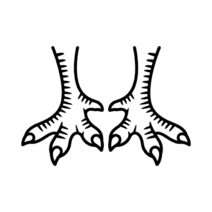 Dibujo Fácil de Patas de Pavo