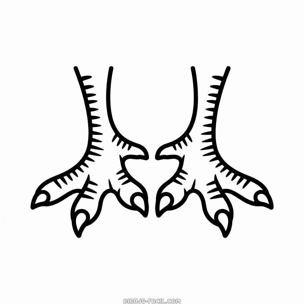 Dibujo Fácil de Patas de Pavo