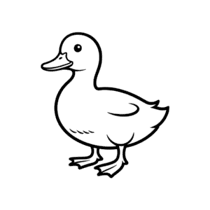 Dibujo Fácil de Pato