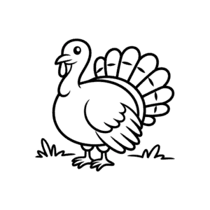 Dibujo Fácil de Pavo para bebé