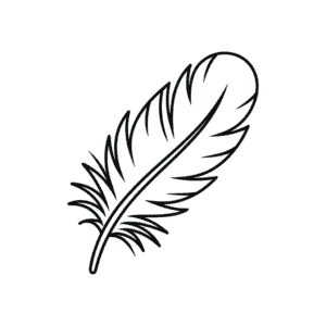 Dibujo Fácil de Pluma de Pavo