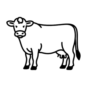 Dibujo Fácil de Vaca de Jersey