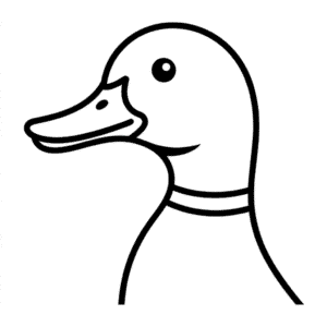 Dibujo Fácil de Cabeza de pato