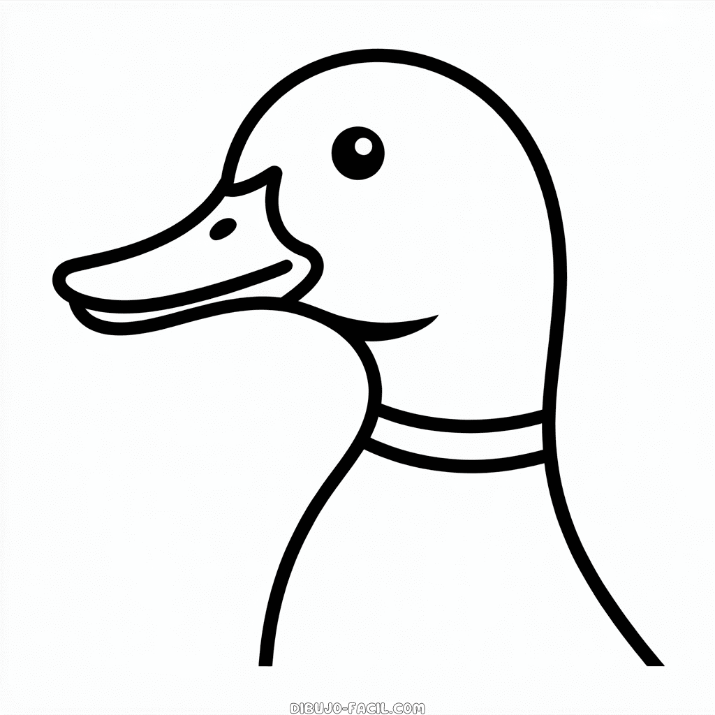 Dibujo Fácil de Cabeza de pato