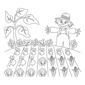 Dibujo Fácil de Cultivos de granja